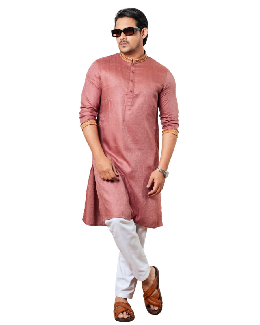 Embroidery Panjabi