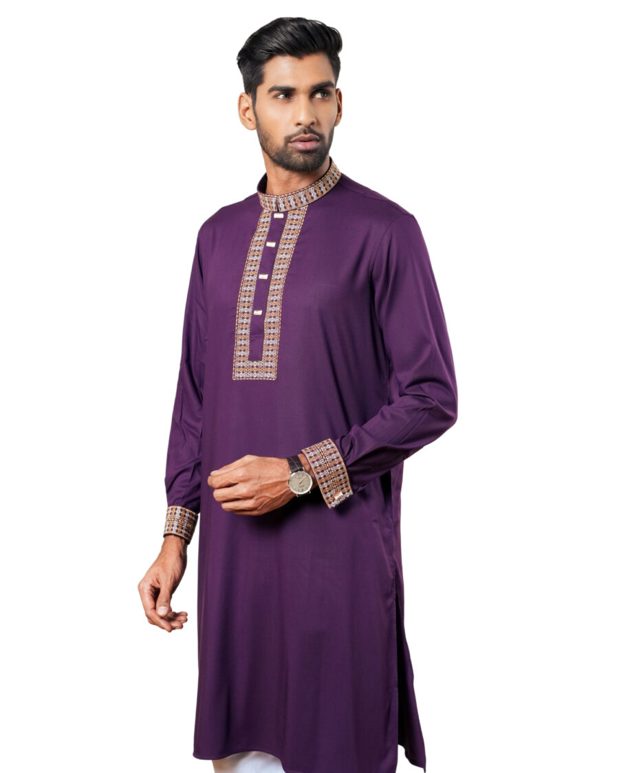 Embroidery Panjabi