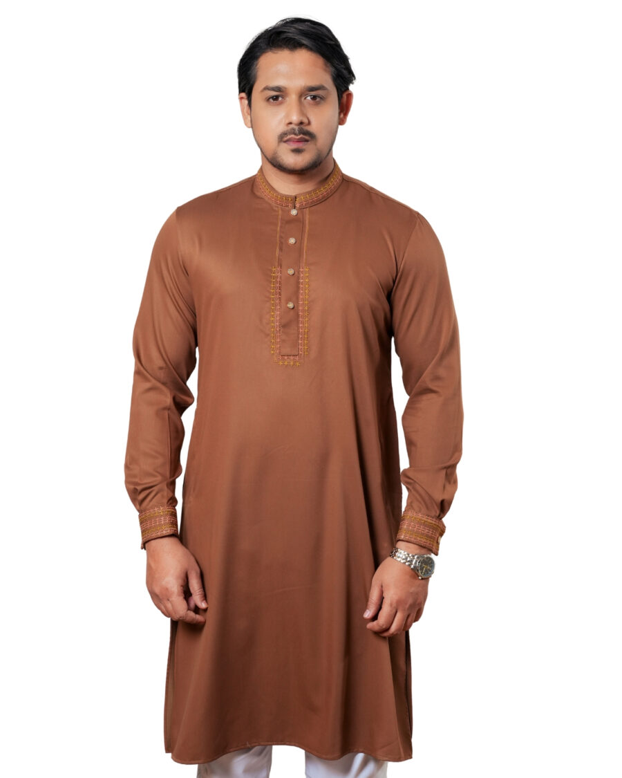 Embroidery Panjabi