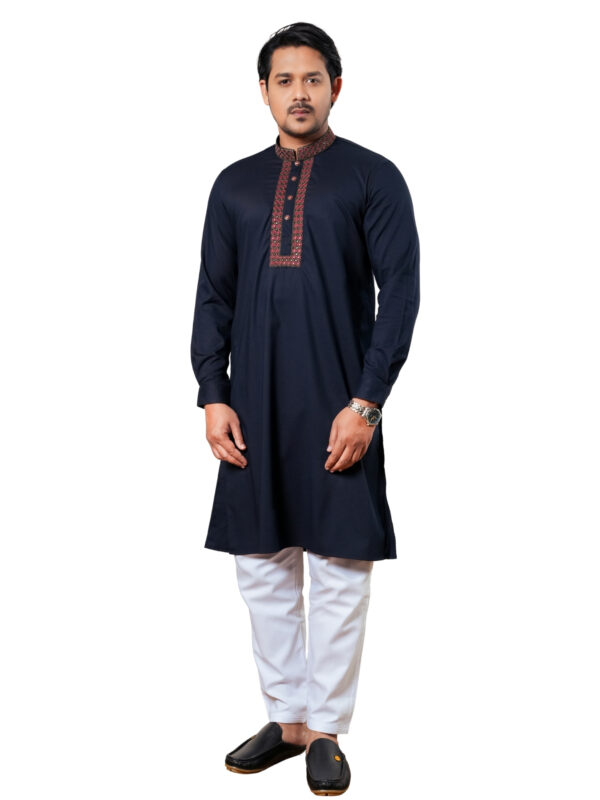 Embroidery Panjabi