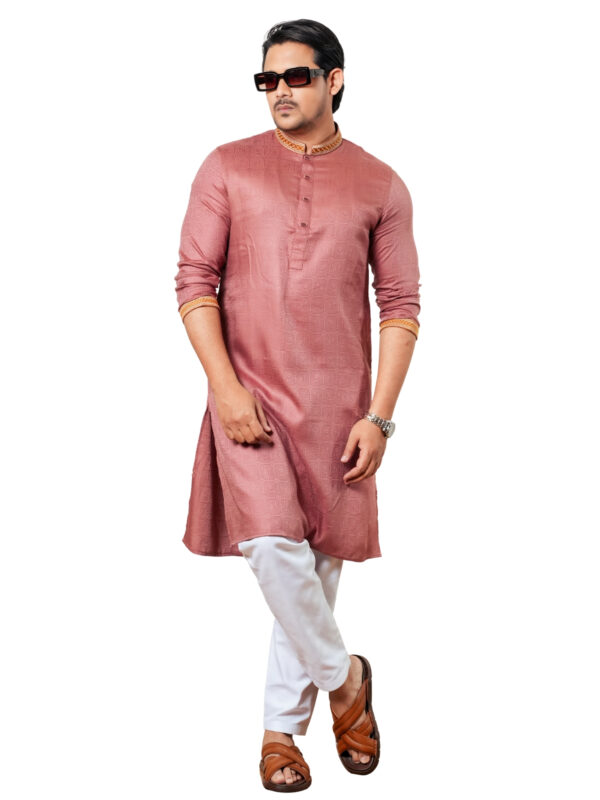 Embroidery Panjabi