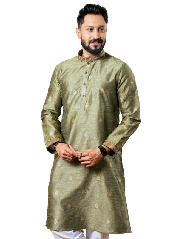 Embroidery Panjabi