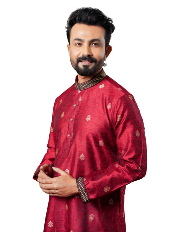 Embroidery Panjabi