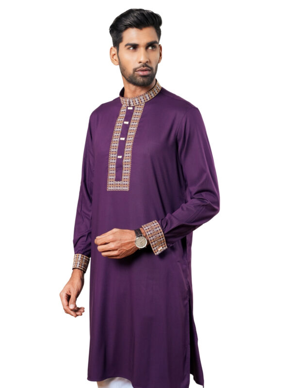Embroidery Panjabi