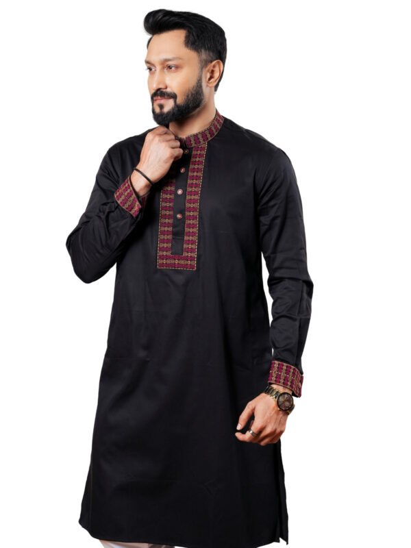 Embroidery Panjabi