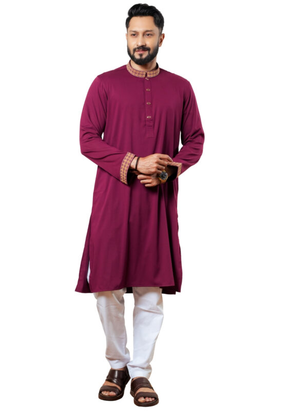 Embroidery Panjabi