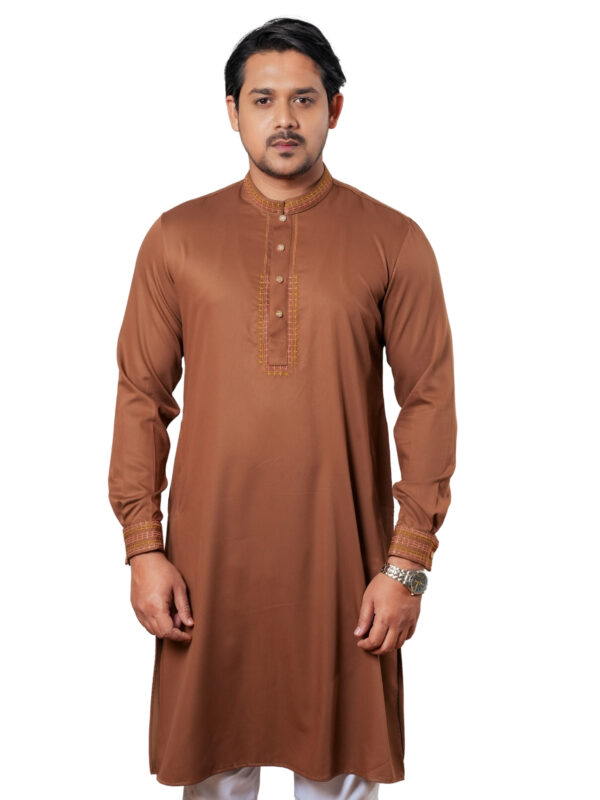 Embroidery Panjabi
